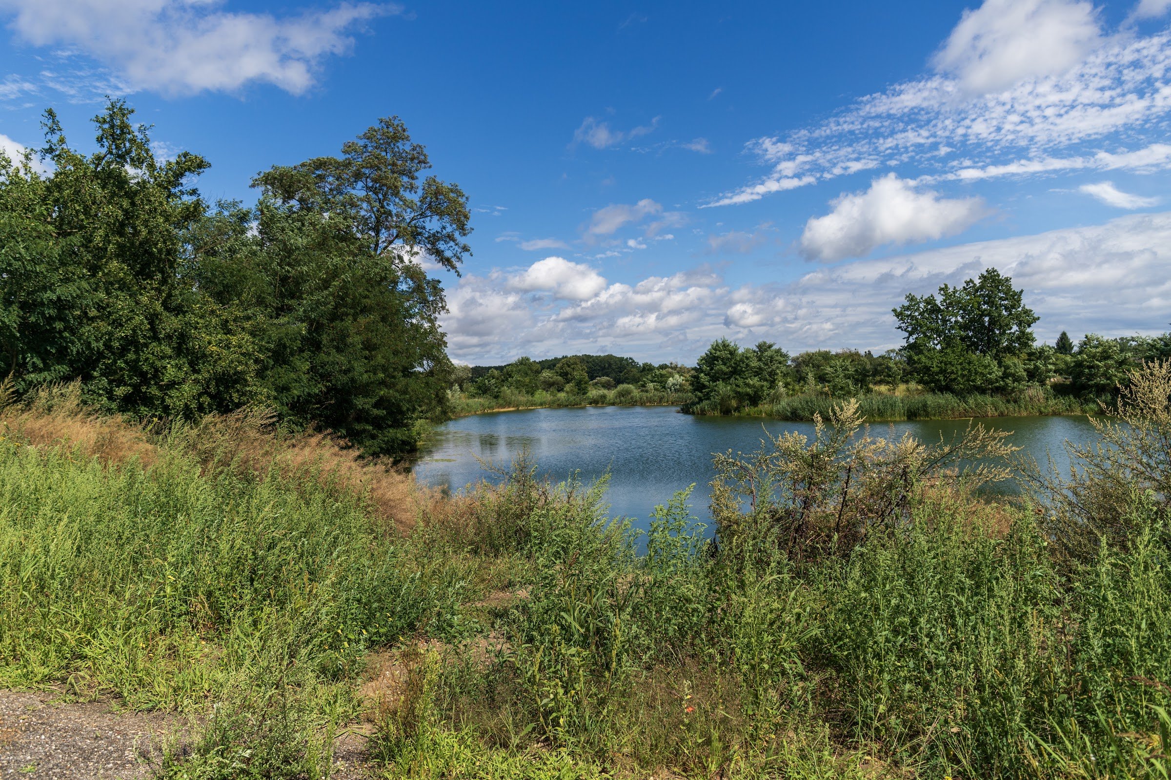 Auto Camp Lasoki (Auto Camping Lasoki, Kędzierzyn‑Koźle)